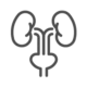 Uroginecologia
